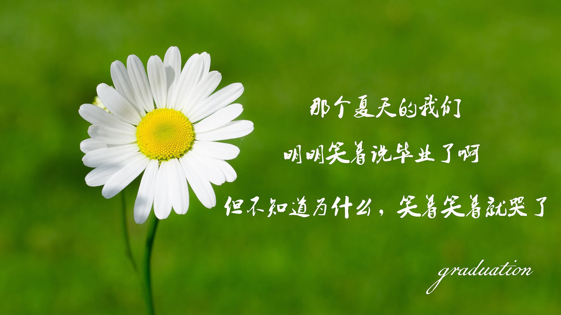 悬念重重，亚冠比赛谁将笑到最后，亚冠冠军是哪个队